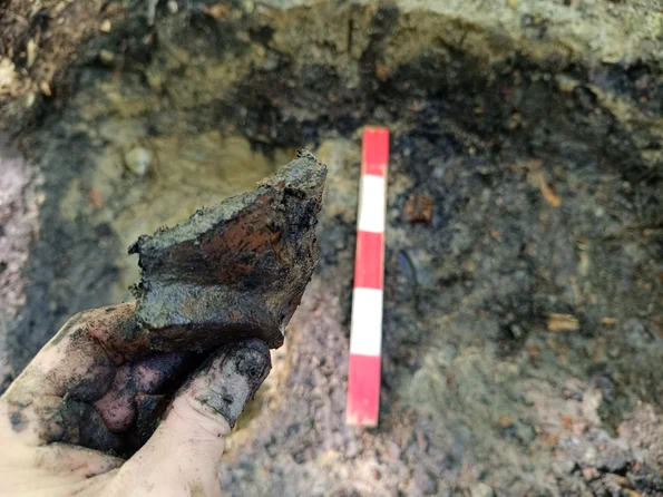 Cel mai mic sit arheologic din România (© Facebook / Vasile Diaconu - archaeologist)