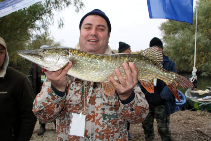 Cupa Deltei la ştiucă va avea loc la începutul lunii viitoare FOTO Adevărul