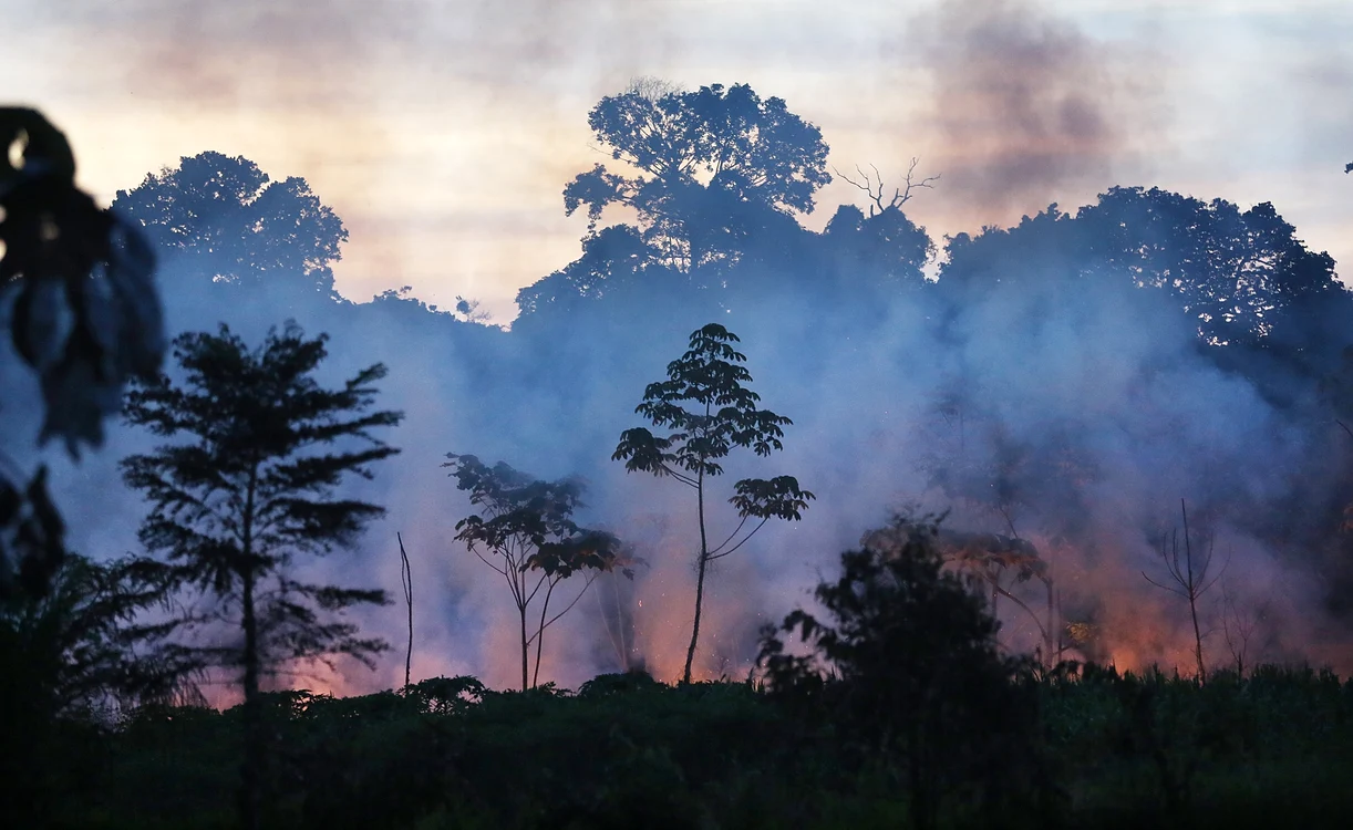 Incendii în Pădurea Amazoniană care ar putea afecta resursele de oxigen de pe întreaga planetăFoto: Getty