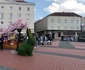 Timișoara, orașul florilor FOTO Ștefan Both