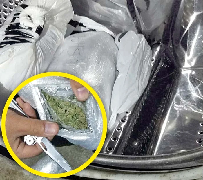 Drogurile erau ascunse într-o mașină de spălat, la subsolul vilei