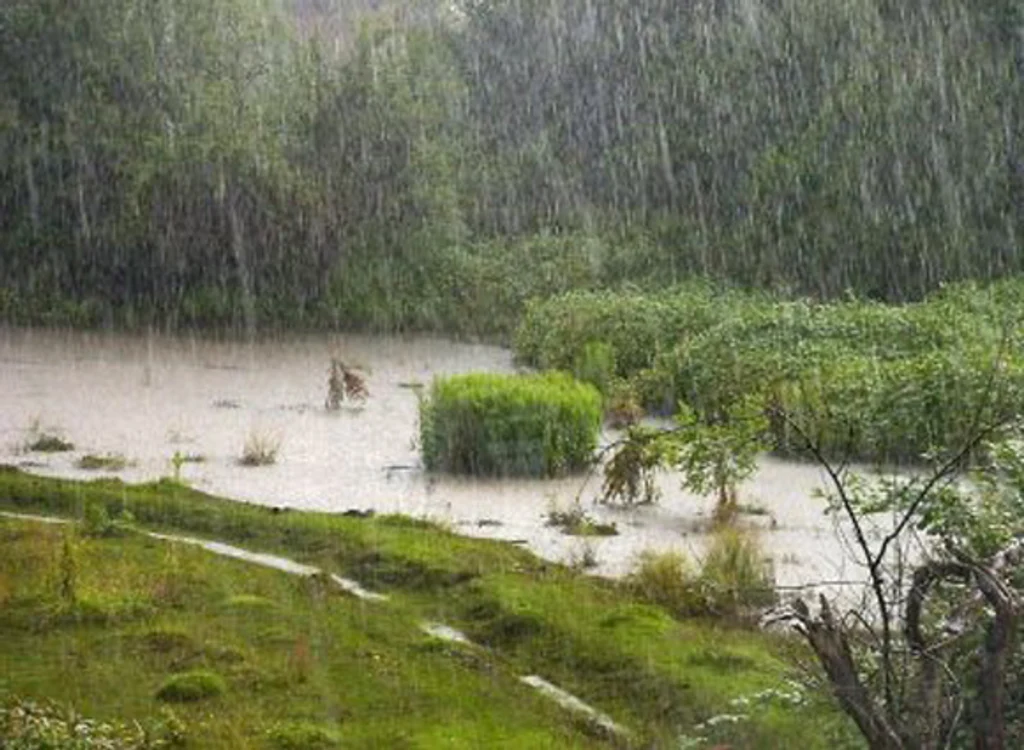 
    Prognoza meteo pentru următoarele două zine anunță că vremea se va ameliora sub aspectul precipitațiilorfoto: Click!  