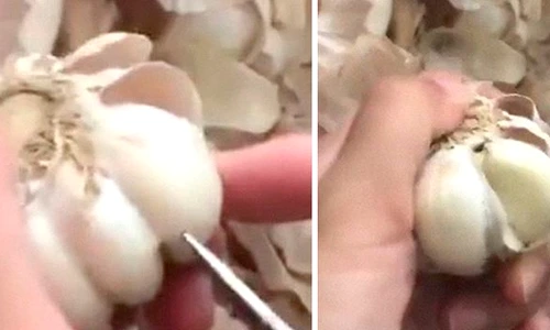 Ai curăţat greşit usturoiul până acum  Uite cât e de simplu!  jpeg