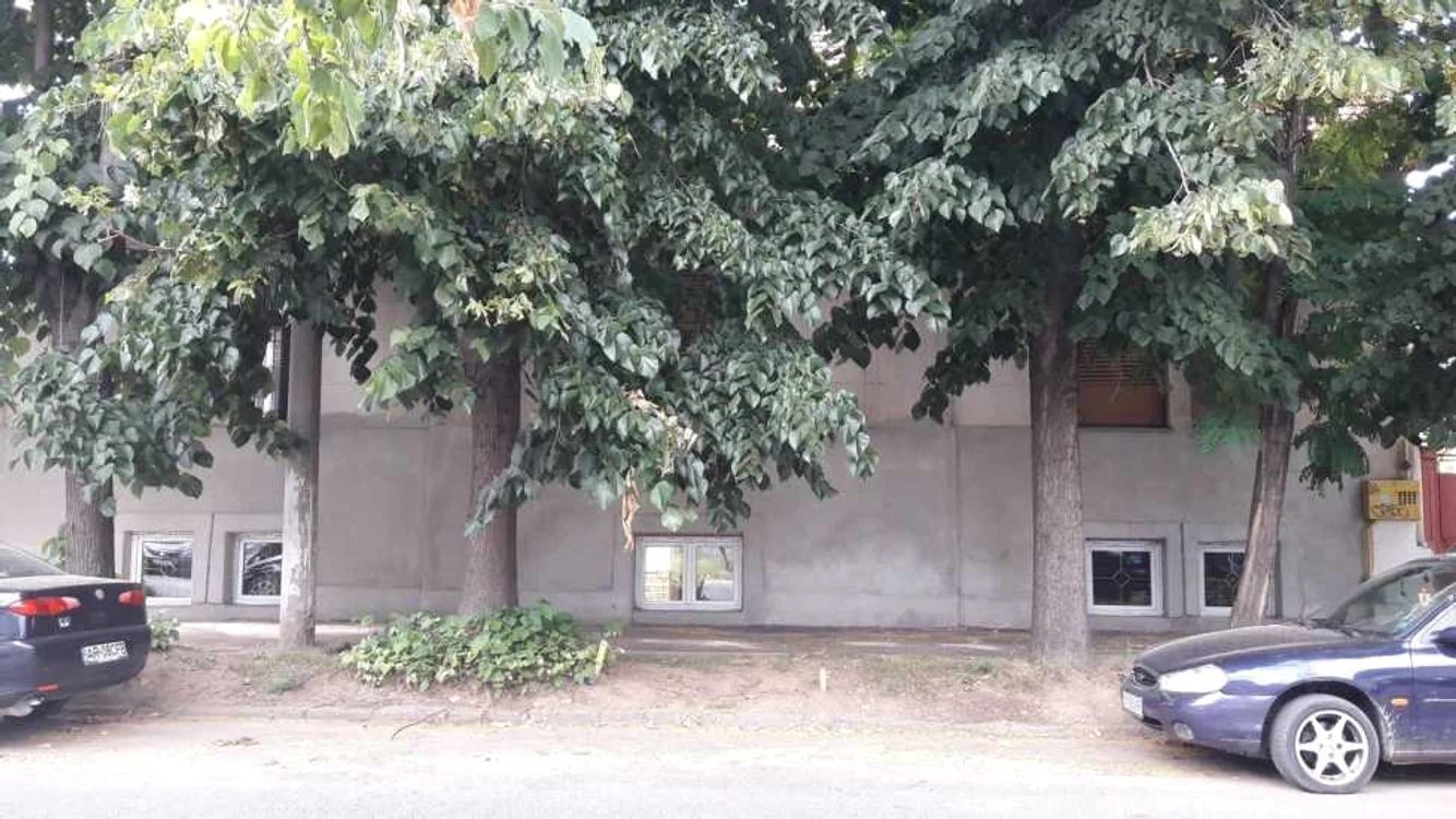 Casa Illy din Timişoara FOTO Ştefan Both