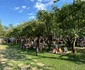 Imagini de la festival  Sursa Andy Hertz Facebook, pagina personală   1 jpg