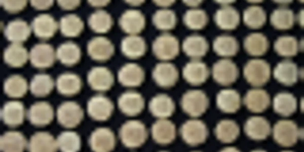kosoni anglia