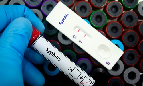 shutterstock 2519162425 jpg