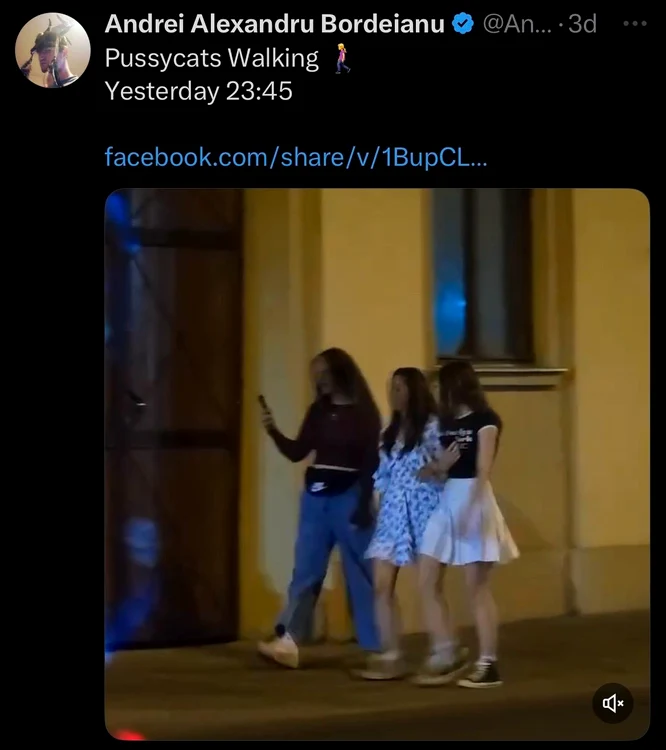 Postările lui Bordeianu FOTO: Captură X