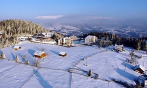 24c5b89d 4101 455a a1a9 7cab0d3e5f5b jpg