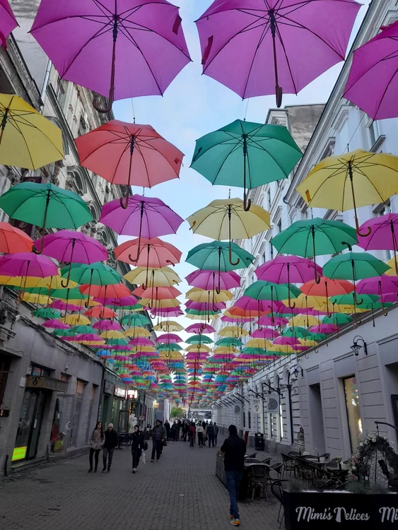 Strada Alba Iulia din Timișoara FOTO Ștefan Both