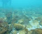 Cercetătorii de la Constanţa fac scufundări în Marea Neagră pentru descoperirea vestigiilor Foto Geo Eco Mar 