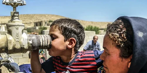 iran apa jpg