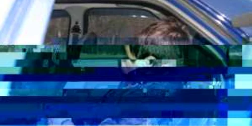 Băiatul a fost condamnat la închisoare şi are de plătit daune