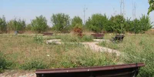 Florile cumpărate la suprapreţ pentru parcul din Greaca, în care nu vine nimeni, sunt invadate de buruieni