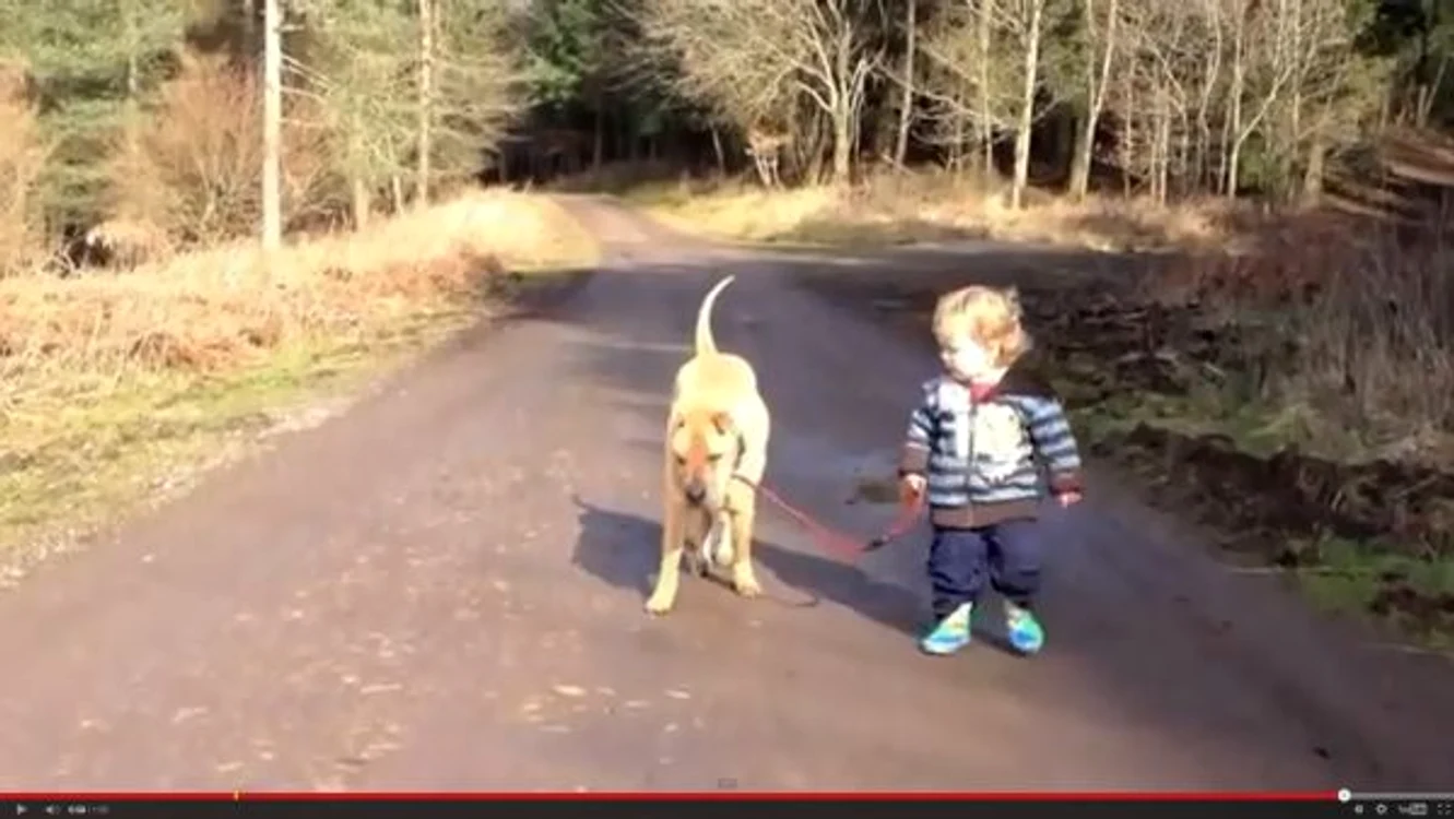 
    Câinele priveşte prietenos cum băieţelul se joacă într-o băltoacăFoto: Captură Youtube  
