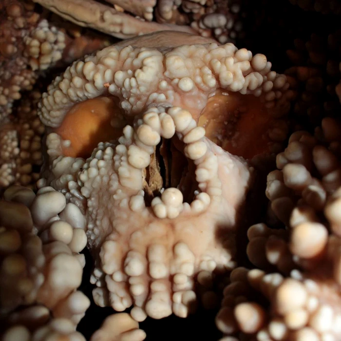 Craniul de la Altamura (© Constantino Buzi / IPHES-CERCA)