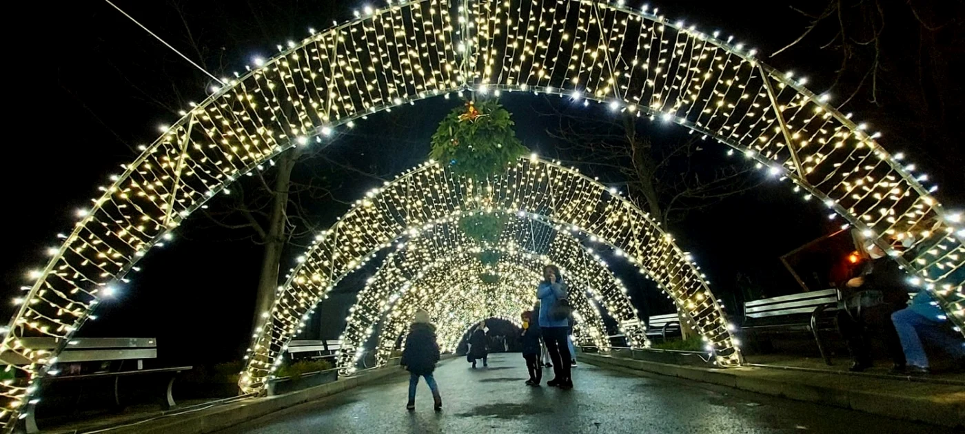 Foto Adevărul /  Kandy Reisenauer