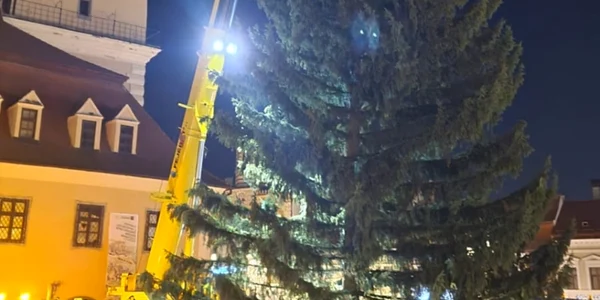 Brad de 26 de metri în Piaţa Sfatului FOTO Primăria Braşov