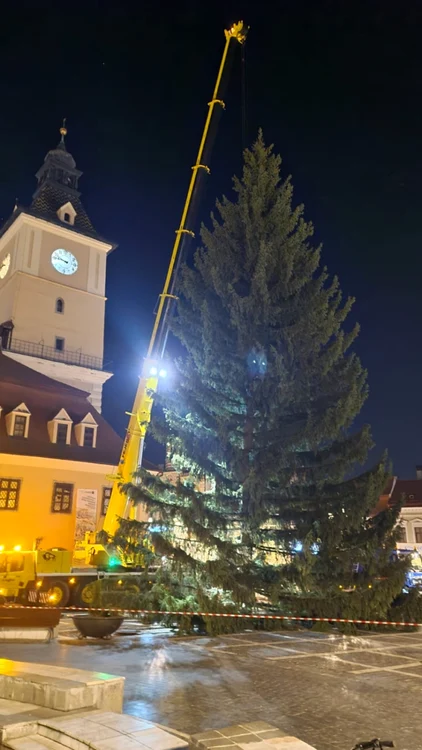 Brad de 26 de metri în Piaţa Sfatului FOTO Primăria Braşov