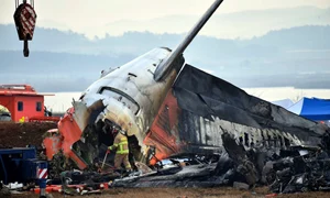 jeju air profimedia jpg