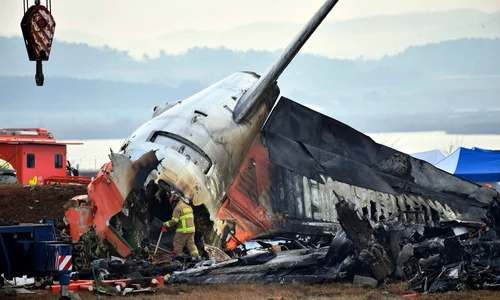 jeju air profimedia jpg