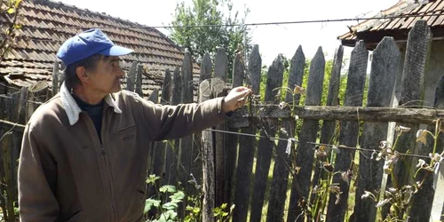 vita de vie distrusa in mehedinti FOTO Corina Macavei 