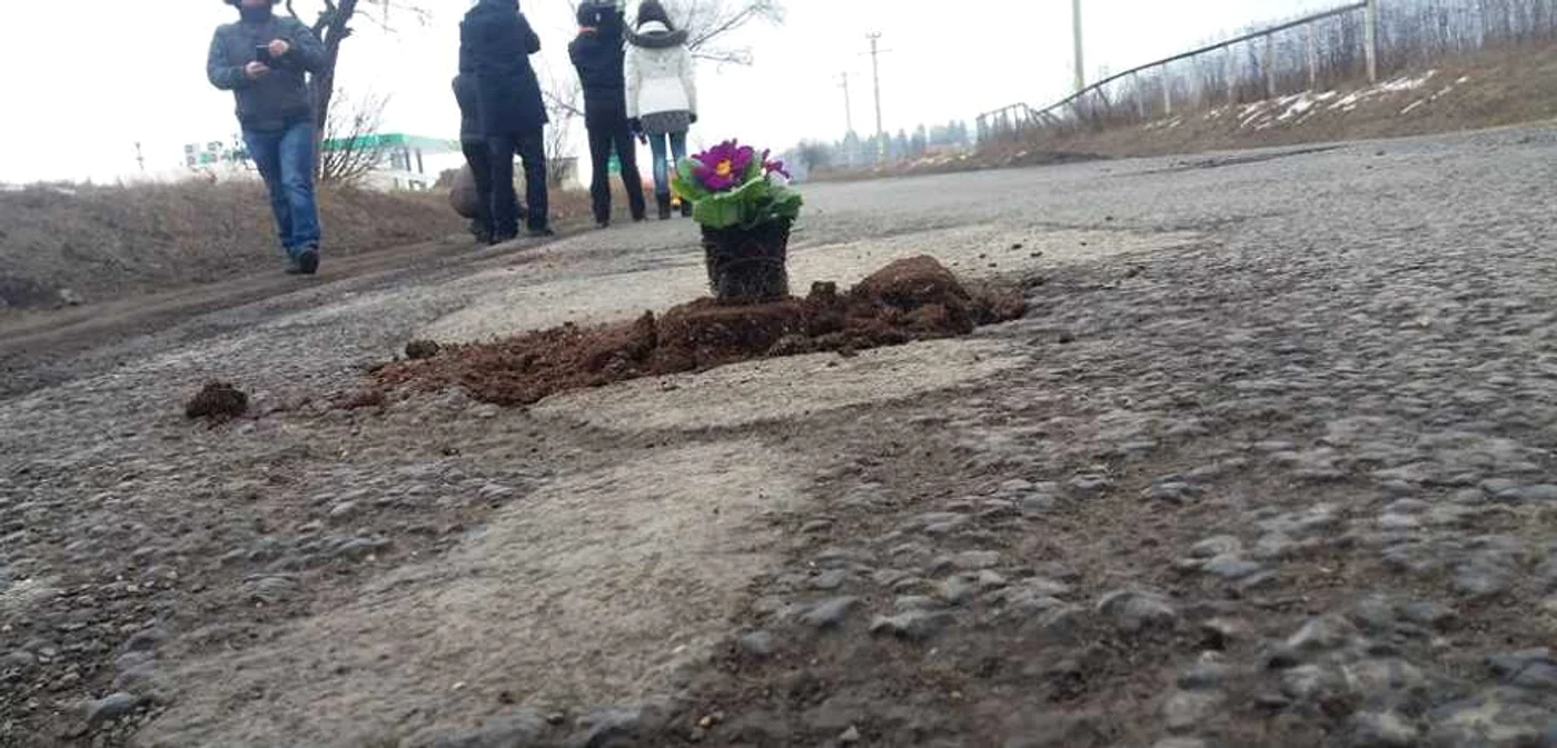Florile au fost plantate în semn de protest. FOTO Info Trafic Judeţul Braşov