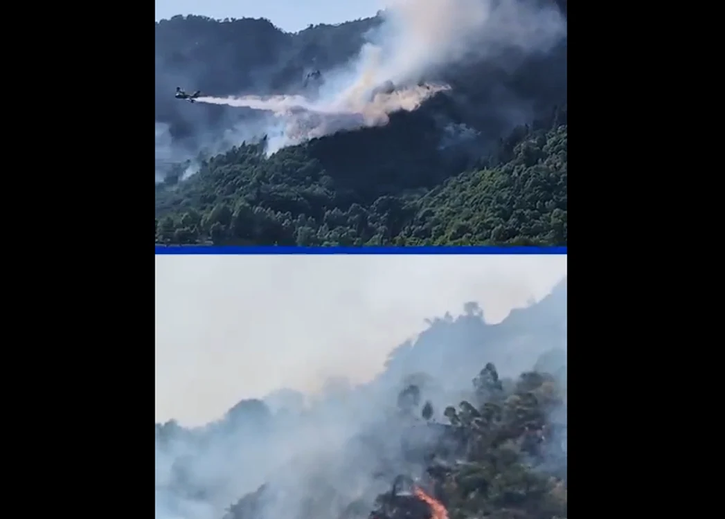 Incendii în Italia. FOTO X Anadolu English