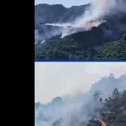 incendii italia captiura video  x png