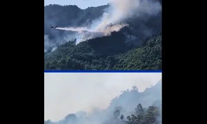 incendii italia captiura video  x png