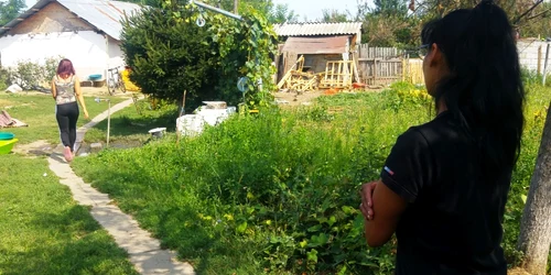 minora violata gaesti