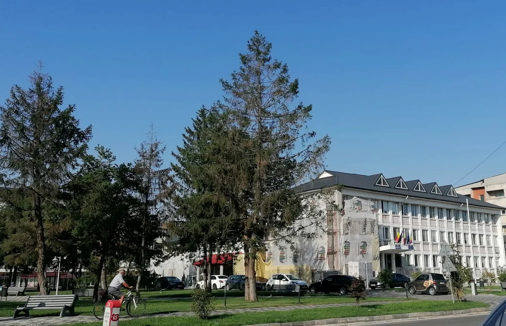 De la Primăria Balș ar trebui să plece cei mai mulți oameni acasă FOTO: Alina Mitran