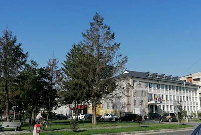 orasul bals, judetuul olt   foto alina mitran (1) jpeg