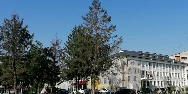 orasul bals, judetuul olt   foto alina mitran (1) jpeg