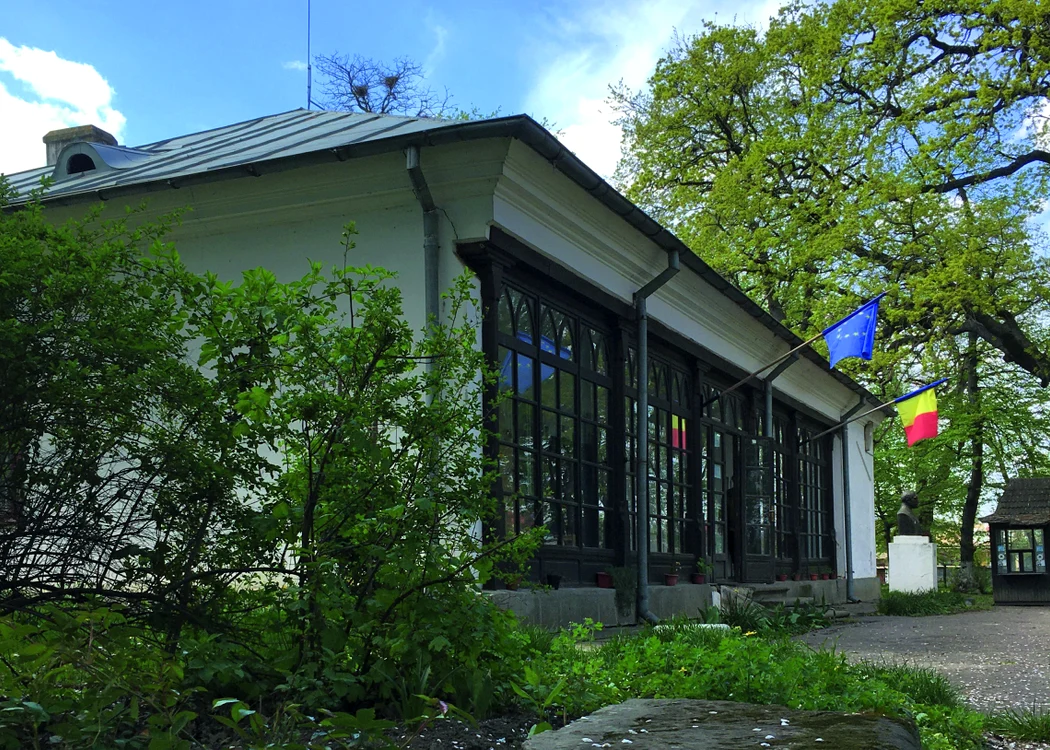 Muzeul Vasile Alecsandri Mircesti exterior jpg jpeg