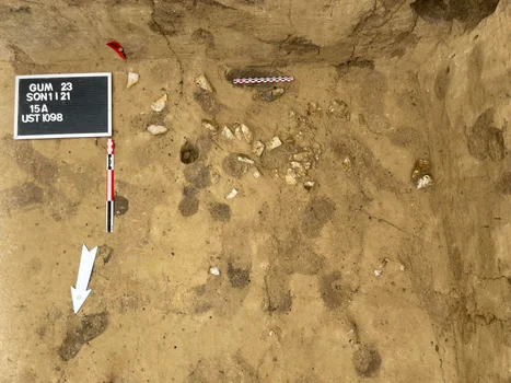 Cercetări arheologice la Gumelnița (© Muzeul Municipiului București)