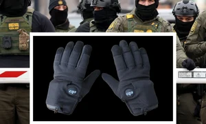 manisi electice jpg