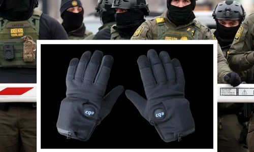manisi electice jpg