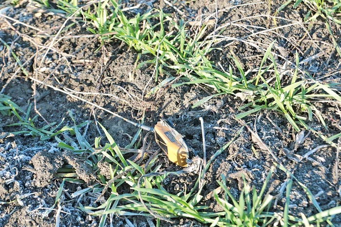 Emiţătorul i-a condus pe biologi la terenul săteanului