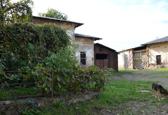 Penitenciarul Ramnicu Sarat FOTO Dragoş Zămoşteanu