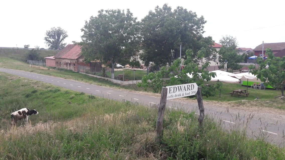 Zone de relaxare pe pista de bicicilete Timişoara-Serbia
