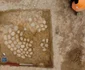 Descoperiri arheologice pe traseul căii ferate Caransebeș-Lugoj (© Direcția Județeană de Cultură Timiș)