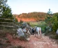 Fundătura Ponorului toamna Foto Lucian Ignat (9) jpg