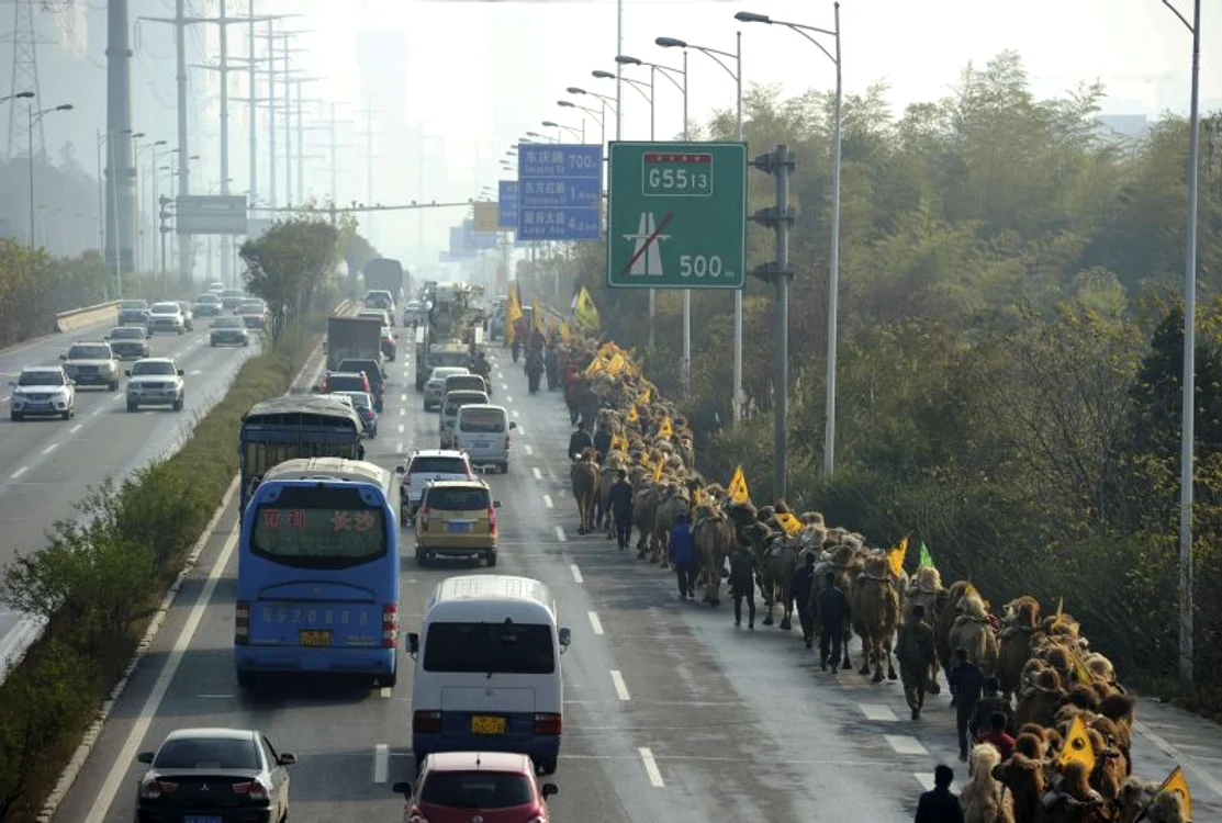 Camile China (Foto: Reuters)