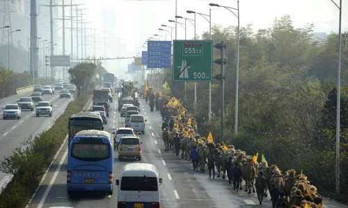 Camile China (Foto: Reuters) jpeg