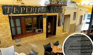 taperia kiwi bar ideal webp