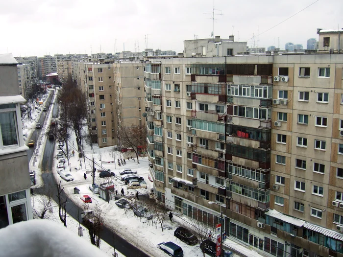 Cîteva lecții de domesticire a Bucureștiului jpeg