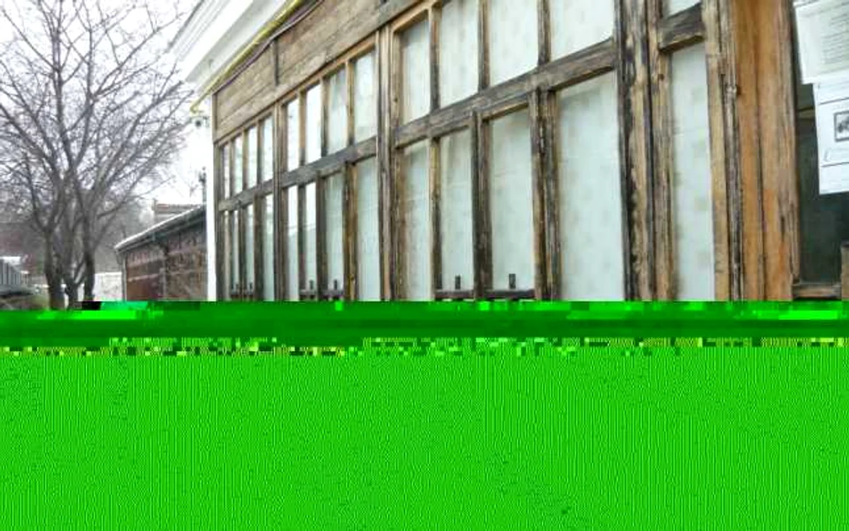 braila foto sanda visan