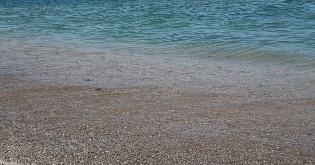 Apa Mării Negre, înghețată: „Articulațiile te dor când faci baie”. Fenomenul a scăzut temperatura cu 10 grade. Apa Mării Negre, înghețată: „Articulațiile te dor când faci baie”. Fenomenul a scăzut temperatura cu 10 grade.