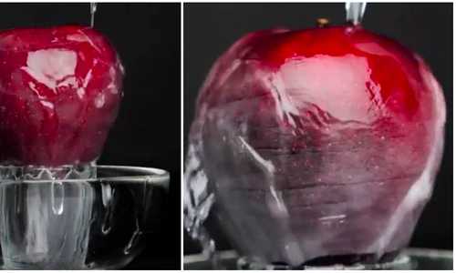 1 83302 original jpg jpeg